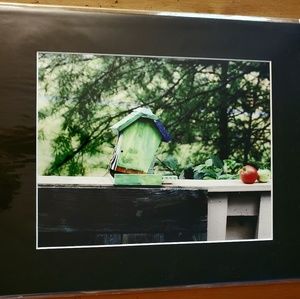 8 x12 art print titled Bird House